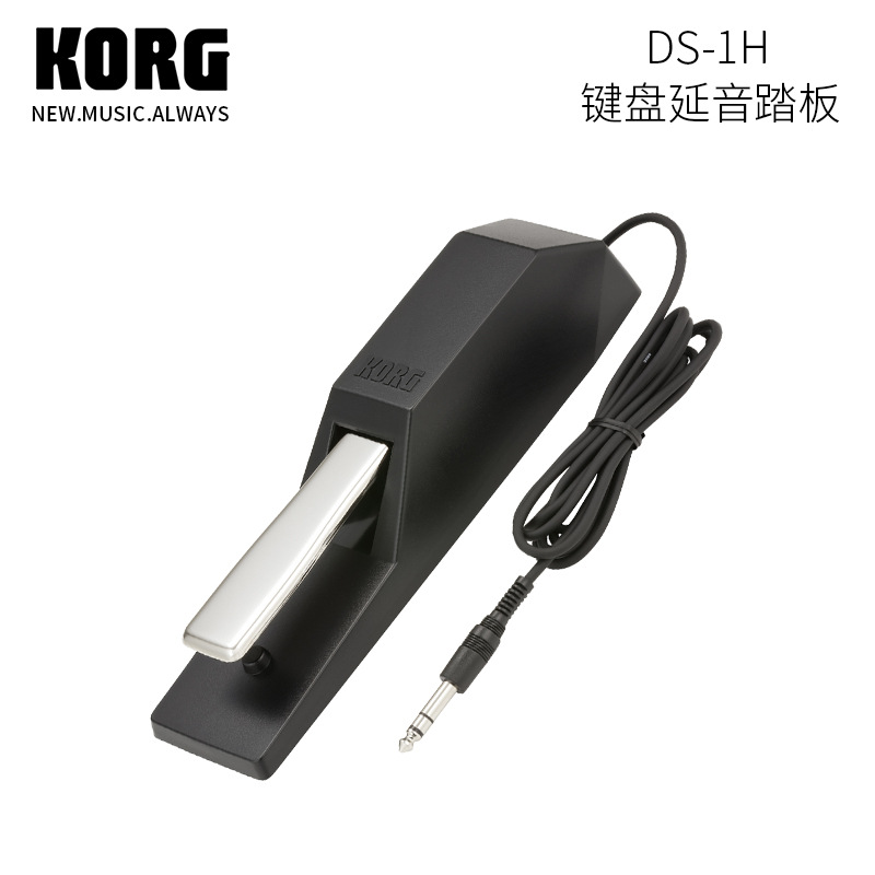 코르그 KORG Damper Pedal 댐퍼 페달 디지털 피아노 DS-1H - 상품 이미지