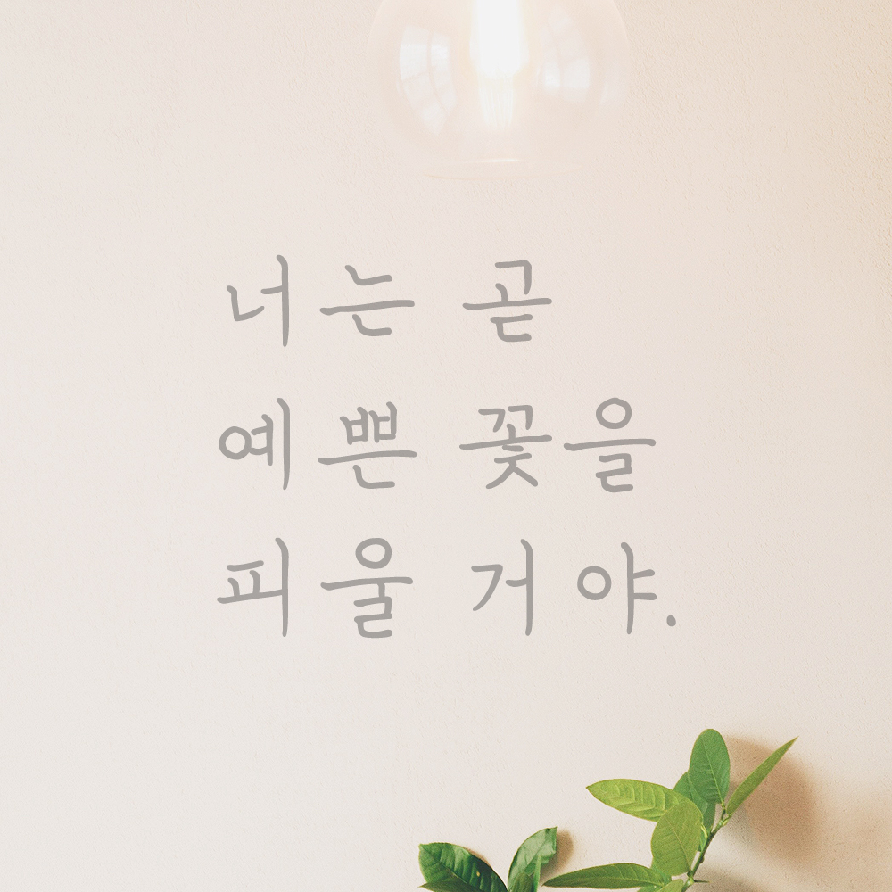 인테리어 감성 손글씨 레터링 스티커 너는 곧 예쁜 꽃을 피울 거야 LH-079S 검정 - 상세 이미지 3