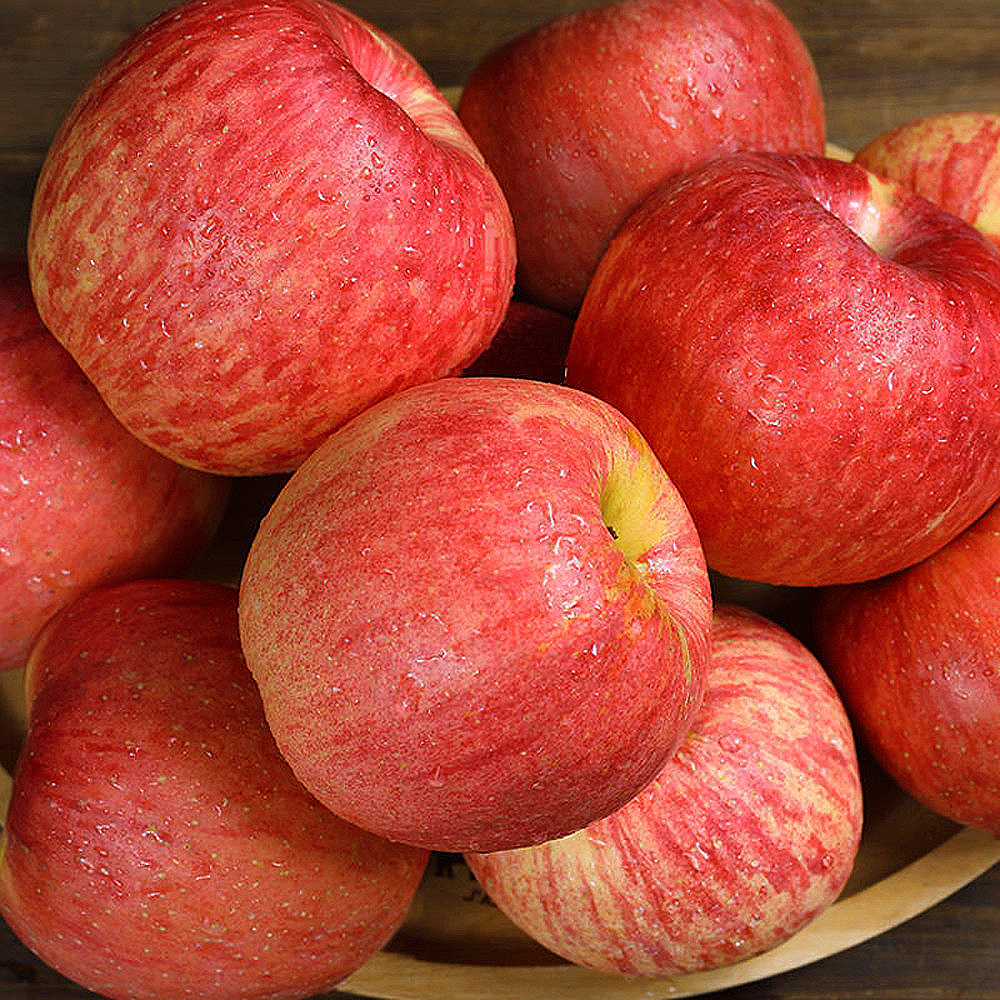 사과 청송 문경 부사 못난이 세척 햇 꿀사과 5kg 10kg