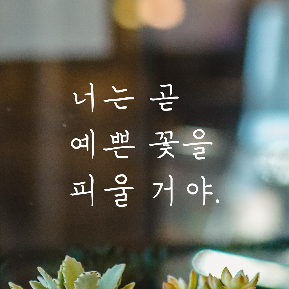 인테리어 감성 손글씨 레터링 스티커 너는 곧 예쁜 꽃을 피울 거야 LH-079S 검정 - 상세 이미지 2
