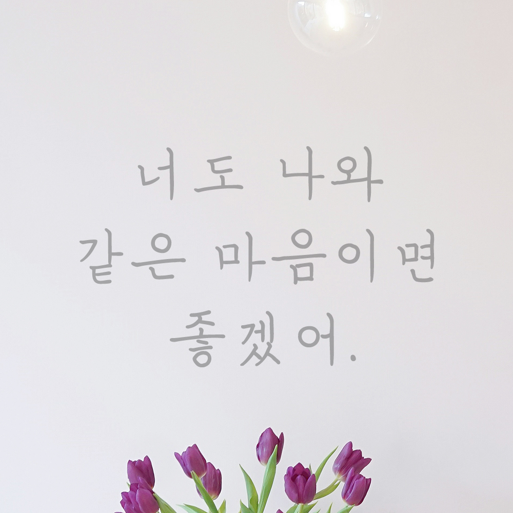 인테리어 감성 손글씨 레터링 스티커 너도 나와 같은 마음이면 좋겠어 LH-081S 검정 - 상세 이미지 2