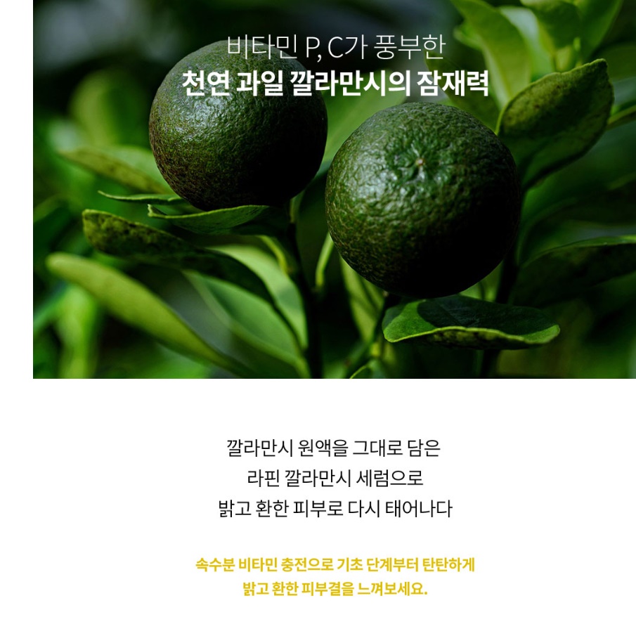 라핀 깔라만시 비타민앰플 비타민C세럼 속수분세럼 - 상세 이미지 2
