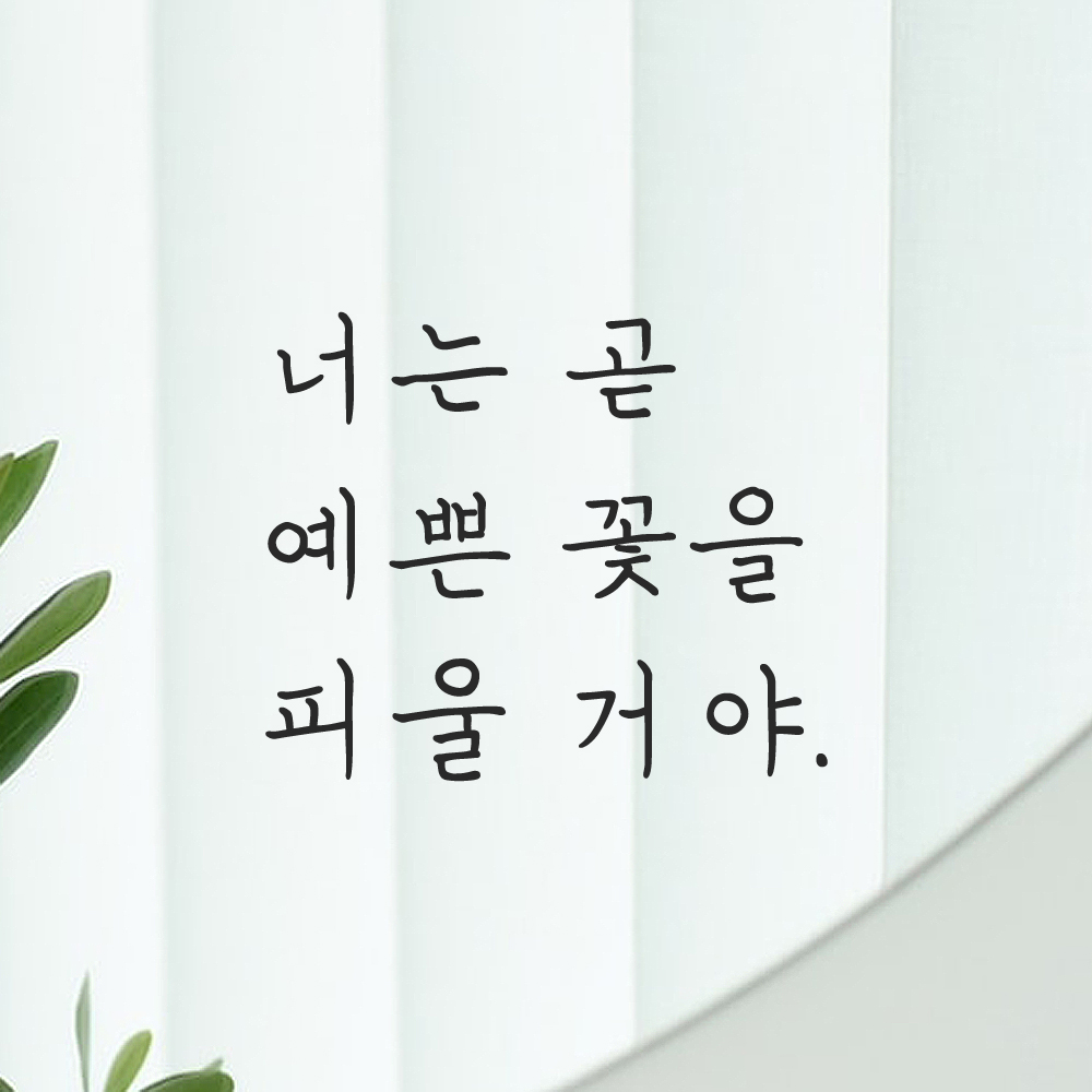 인테리어 감성 손글씨 레터링 스티커 너는 곧 예쁜 꽃을 피울 거야 LH-079S 검정 이미지 8