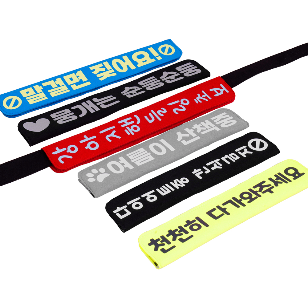 강아지 리드줄 인식표 인터라켄 리드줄 메세지택 강아지 펫티켓 산책 제작 벨크로 야광 반사 M - 상세 이미지 3