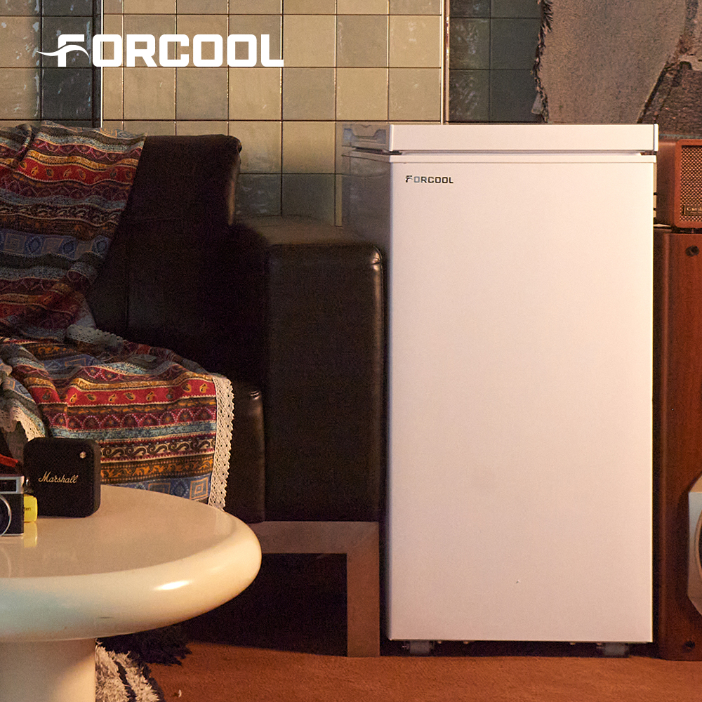 포쿨 슬림핏 가정용 미니 냉동고 소형 급속 업소용 70L