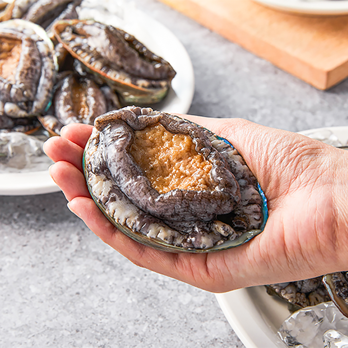 [신선특허] 내일받는 기삼전복 1kg 5미부터 18미 손질도구/일반포장