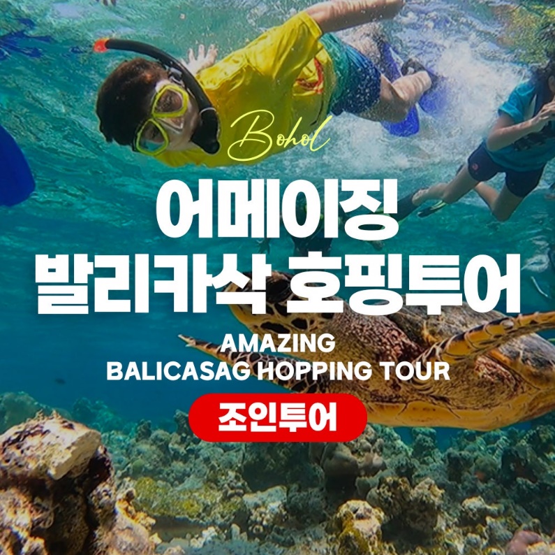 보홀 호핑투어 발리카삭 스노클링 돌고래 거북이 투어