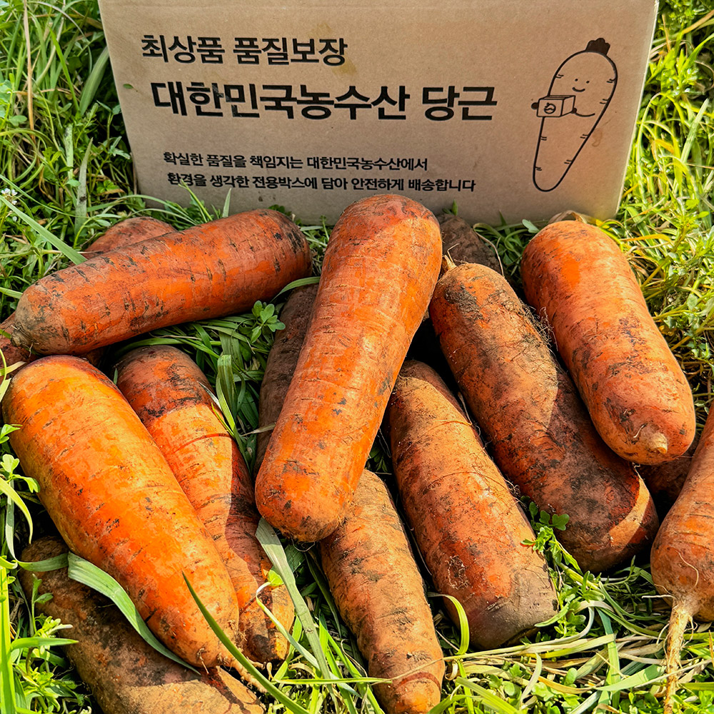 국내산 햇 당근 흙 주스용 쥬스용