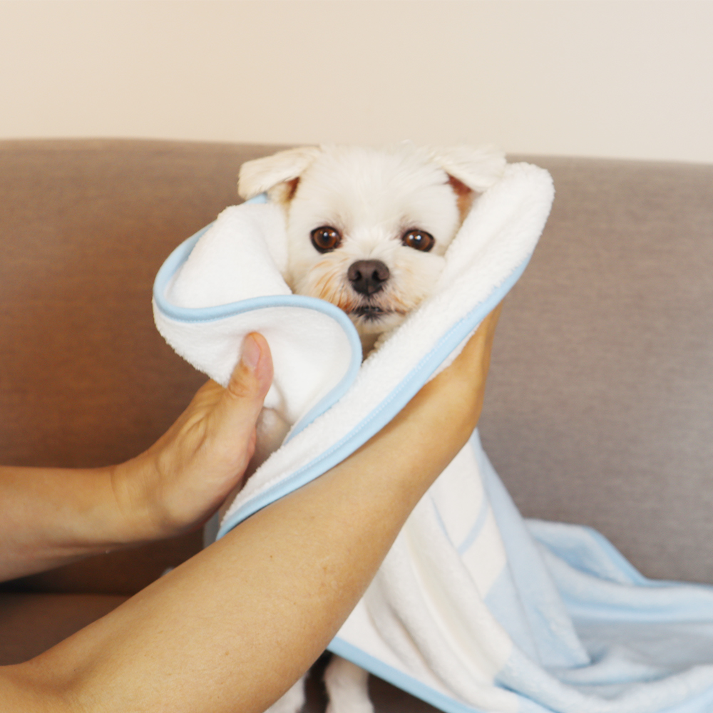 산리오 시나모롤 극세사 애견 페이스 펫타올 목욕 강아지 고양이 수건 - 상세 이미지 4