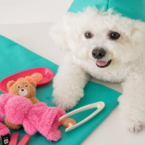 바잇미 버디베어 강아지 리필 장난감 (바스락/삑삑) 솔직 후기 | 실제 사용자 리뷰 총정리 - 상품 이미지 2