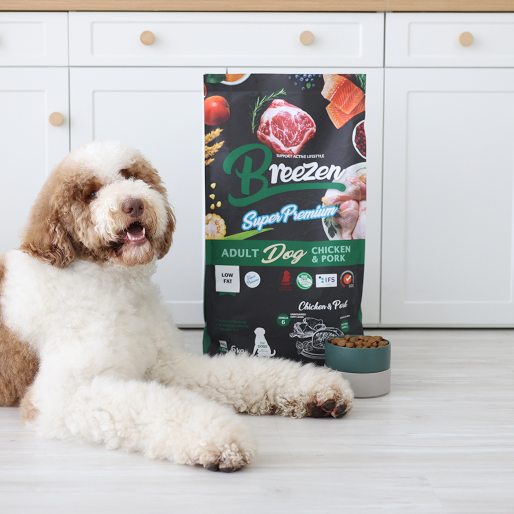브리젠 슈퍼프리미엄 저지방 다이어트 관절 강아지사료 체중조절 치킨+포크, 11mm, 6kg 제품 이미지