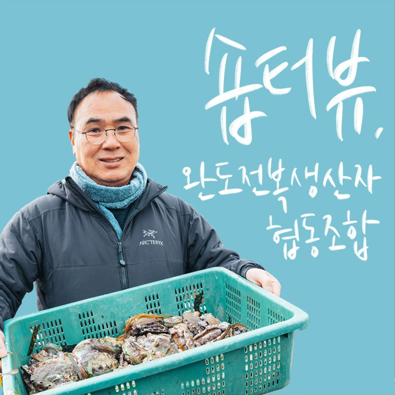 완도1호 왕특대전복 2kg(1kg 6-7미) 선물포장 판매처 상세 정보 이미지 3