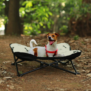 레토 강아지 해먹 캠핑침대 캠핑의자 애견 침대 방석 솔직 후기 | 실제 사용자 리뷰 총정리 - 상품 이미지 4