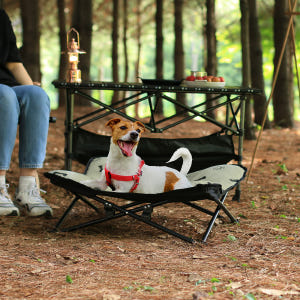 레토 강아지 해먹 캠핑침대 캠핑의자 애견 침대 방석 솔직 후기 | 실제 사용자 리뷰 총정리 - 상품 이미지 3