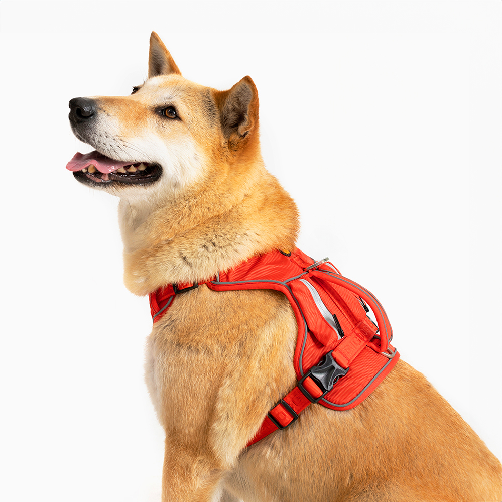 강아지 하네스 앞섬방지 가슴줄 대형견 하네스 H형 빅네스