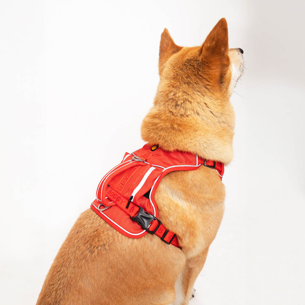 강아지 하네스 앞섬방지 가슴줄 대형견 하네스 H형 빅네스
