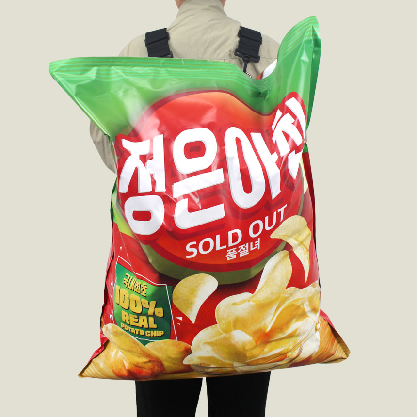 초대형 과자 봉투 남편 생일 이벤트 현관문 부모님 환갑 칠순 용돈박스 새우깡 중형