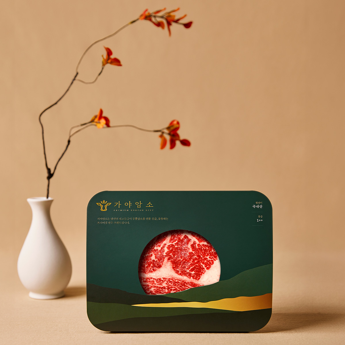 프리미엄 암소한우 [등심 3팩세트] 등심 캠핑고기 글램핑 소고기 [신세계백화점]