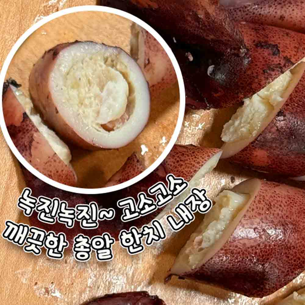 국내 대서양 원양산 총알 한치 오징어 500g 생물 냉동 금냉 숙회 이미지 6