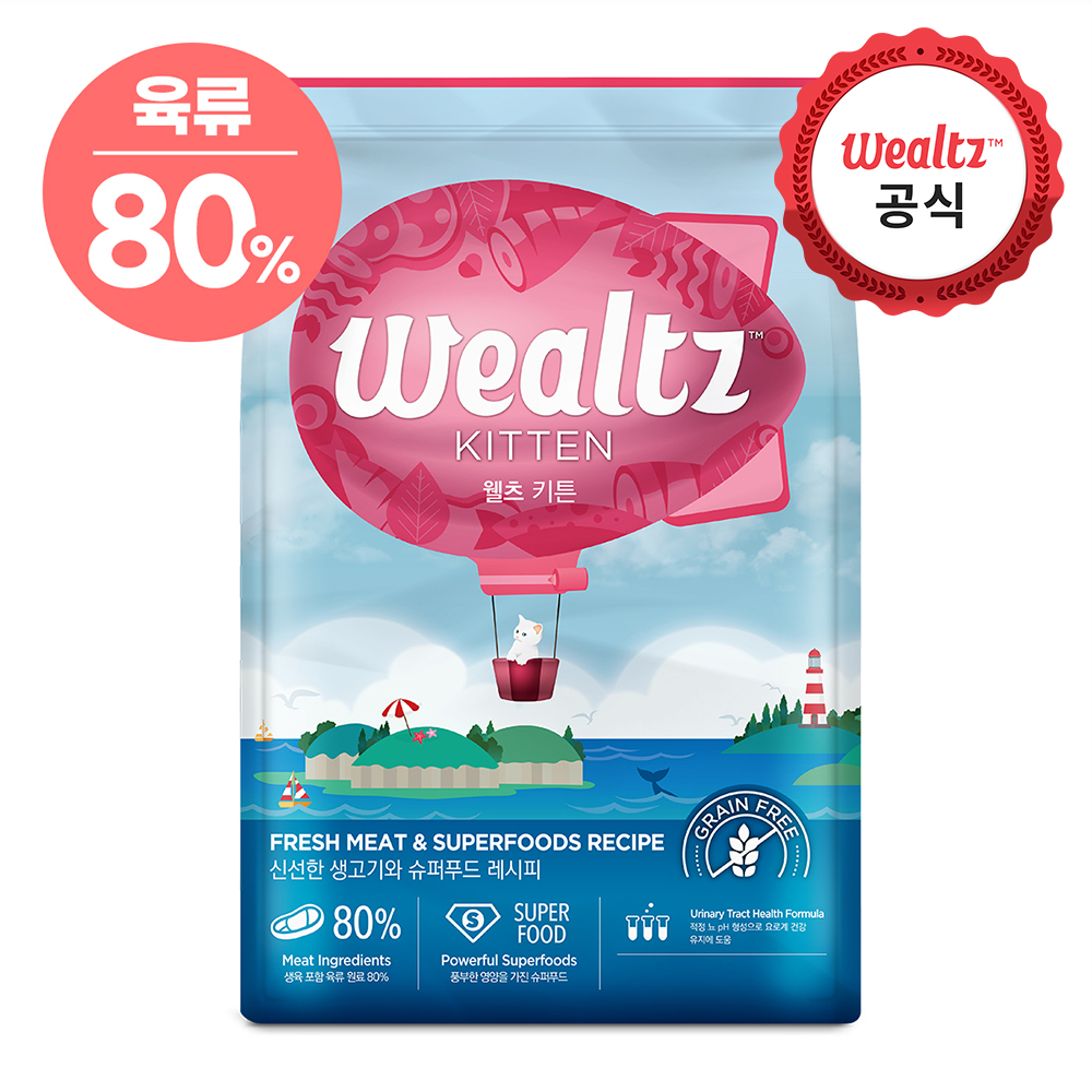 웰츠 캣 키튼 6kg 이미지 2