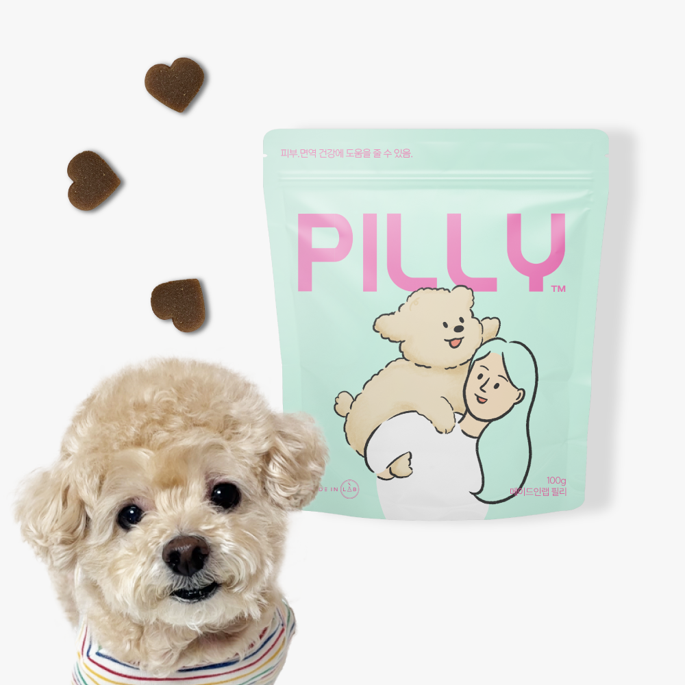 강아지 피부 면역 영양제 필리 하루1개 급여 100개입, 1개