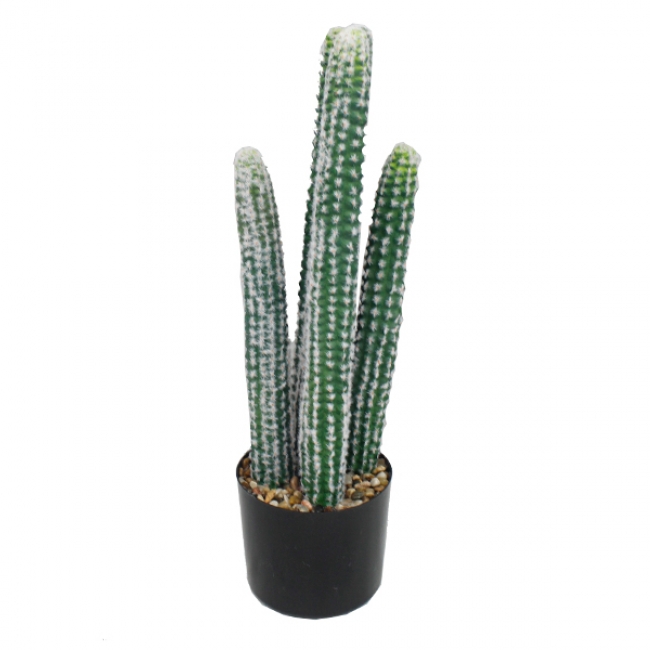 FW3767A 중형 선인장 조화 화분 높이 60cm 인조화분 : 101도