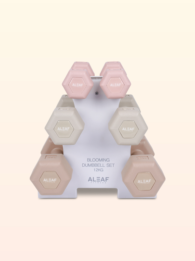 아리프 블루밍 덤벨 세트 12kg 거치대 포함 육각 여자 아령