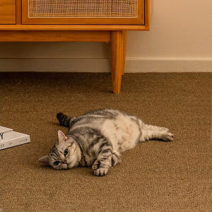 고양이스크래쳐매트 S 솔직 후기 | 실제 사용자 리뷰 총정리 - 상품 이미지 4