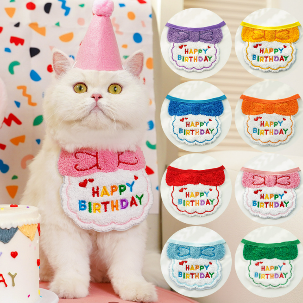 고양이 생일 파티 고깔 모자 케이프 세트 강아지 돌잔치 반려묘 반려견 꼬깔 애견 턱받이 이미지 4