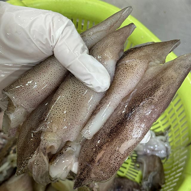[삼해진미] 자연산 미니 총알 한치 500g 화살 오징어 - 상품 이미지