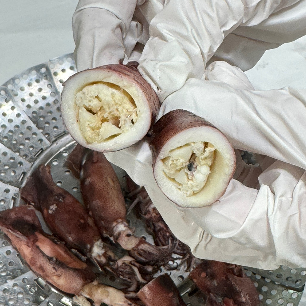 국내 대서양 원양산 총알 한치 오징어 500g 생물 냉동 금냉 숙회