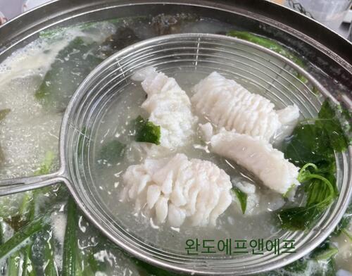 하모 샤브샤브 갯장어 1kg 자연산 유비끼 손질 하모회 : 완도 수산물