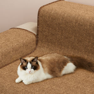 고양이스크래쳐매트 S 솔직 후기 | 실제 사용자 리뷰 총정리 - 상품 이미지 3