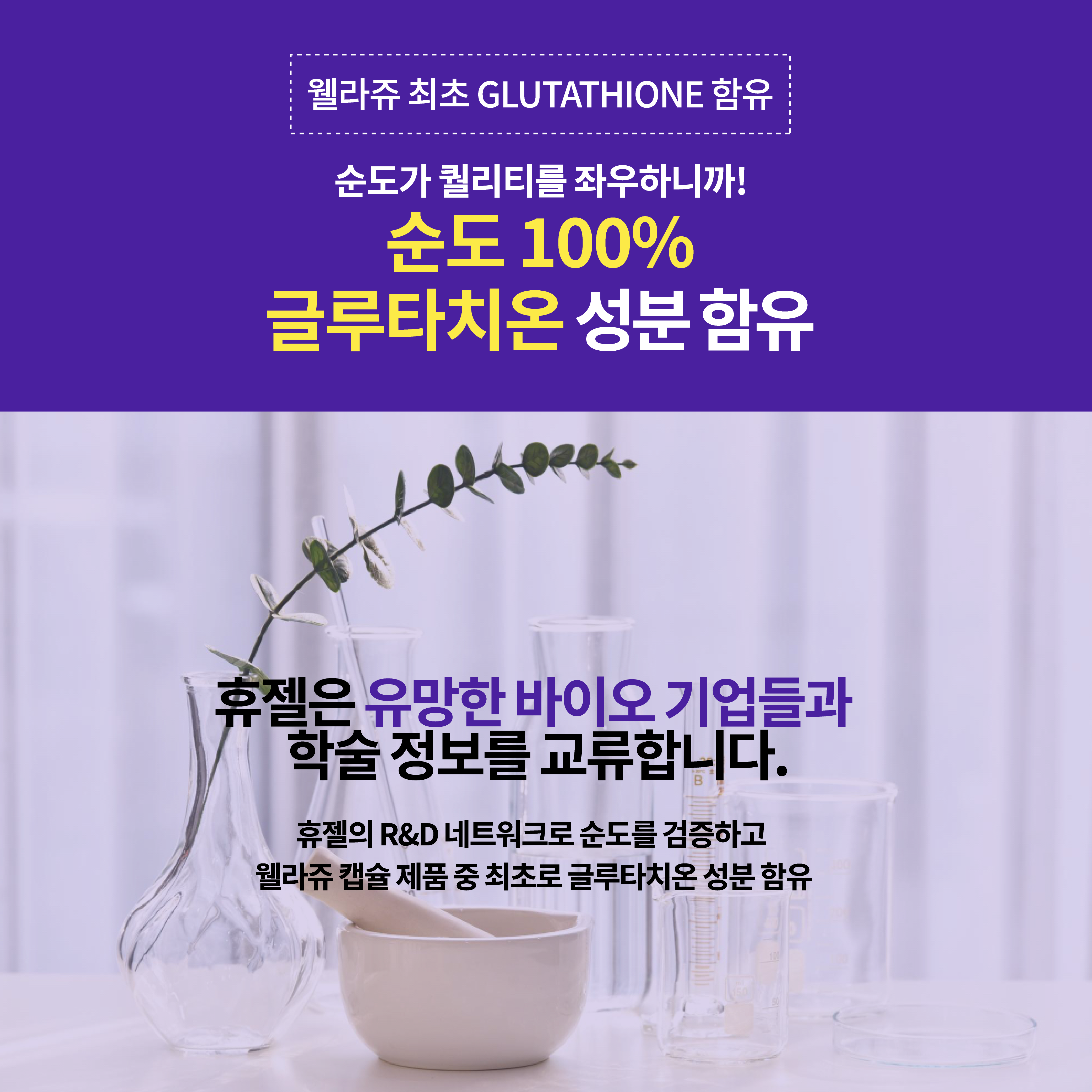 웰라쥬 시즌3 쟈스민 313회분캡슐30개x10박스+앰플70mlx4개+키트1+캡슐6eax2 - 상세 이미지 5