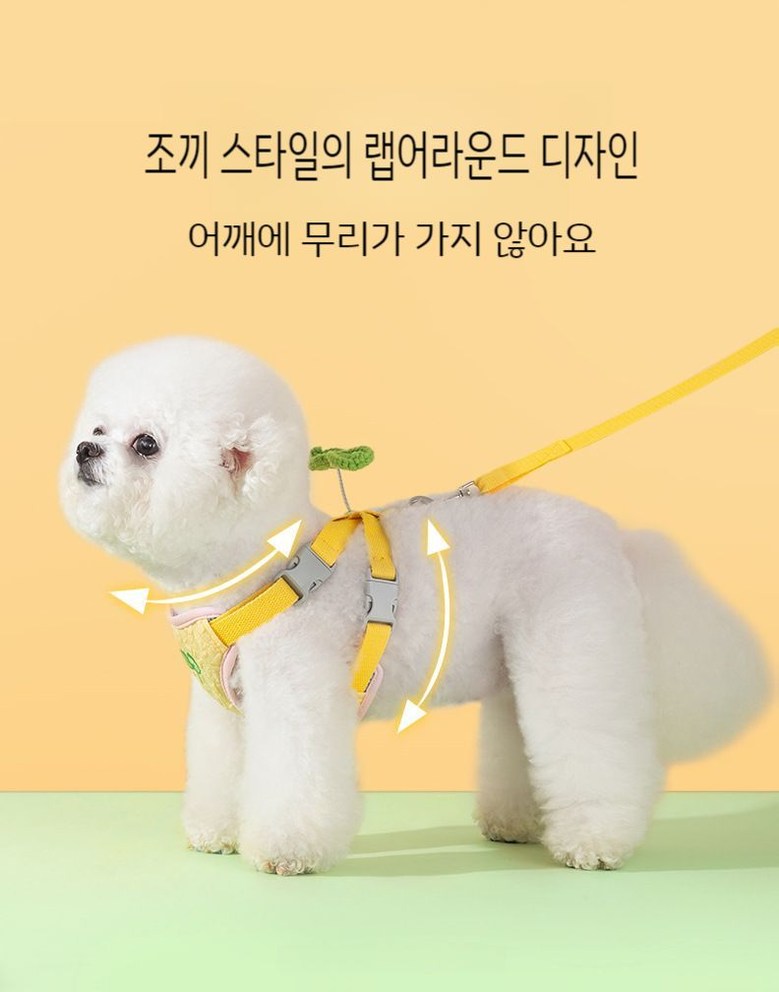 푸르픽 강아지 고양이 여름 두잎클로버 하네스 + 리드줄 세트 시원한메쉬소재 사계절겸용 - 상세 이미지 3