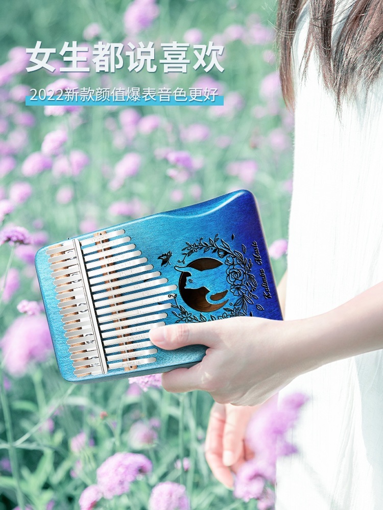 초보자용칼림바 17계 디자인 특이한 - 상세 이미지 5