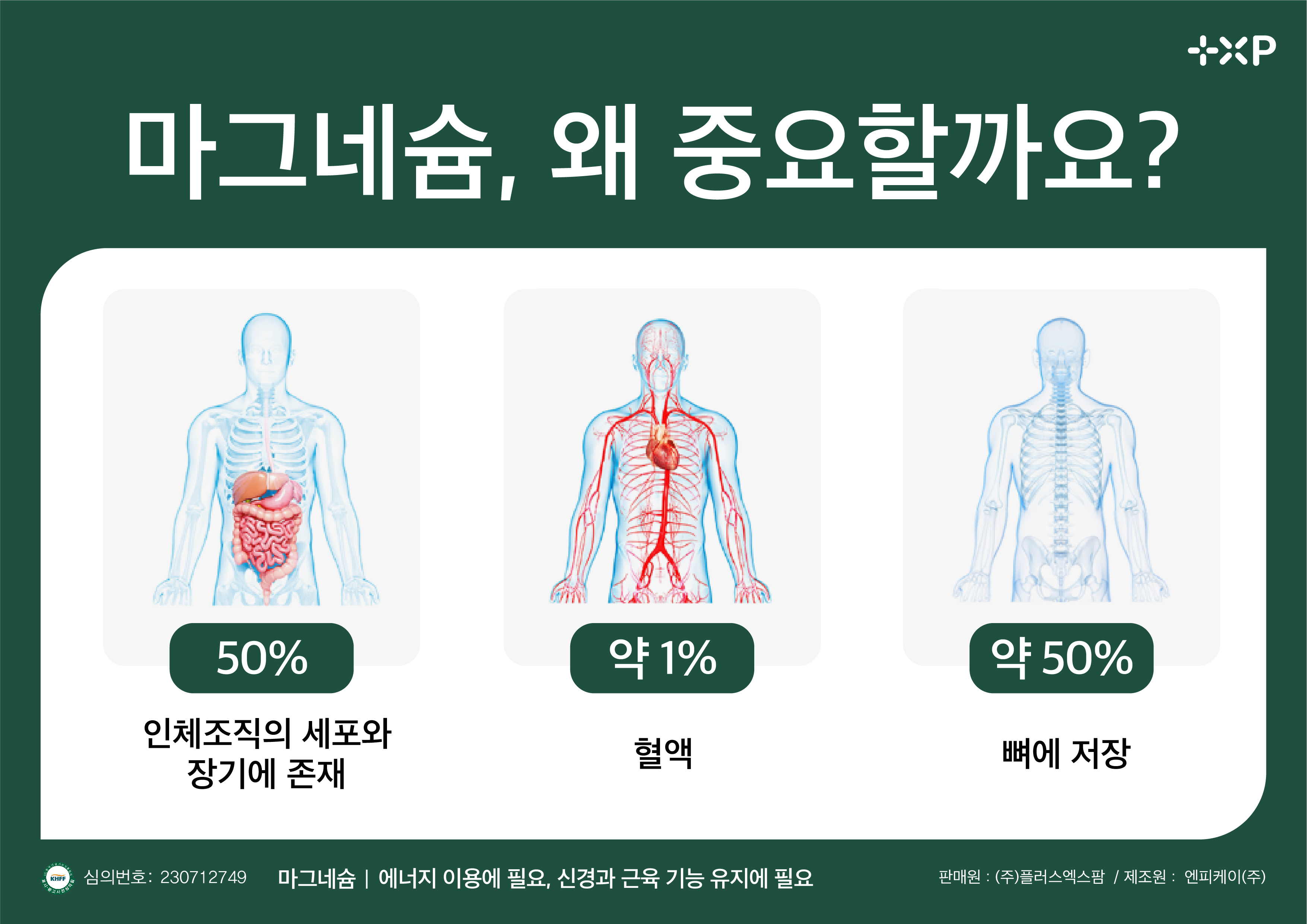 비타민C 메가도스 필수영양 마그네슘350 비타민B6 고함량 마그네슘B6 2개 - 상세 이미지 4