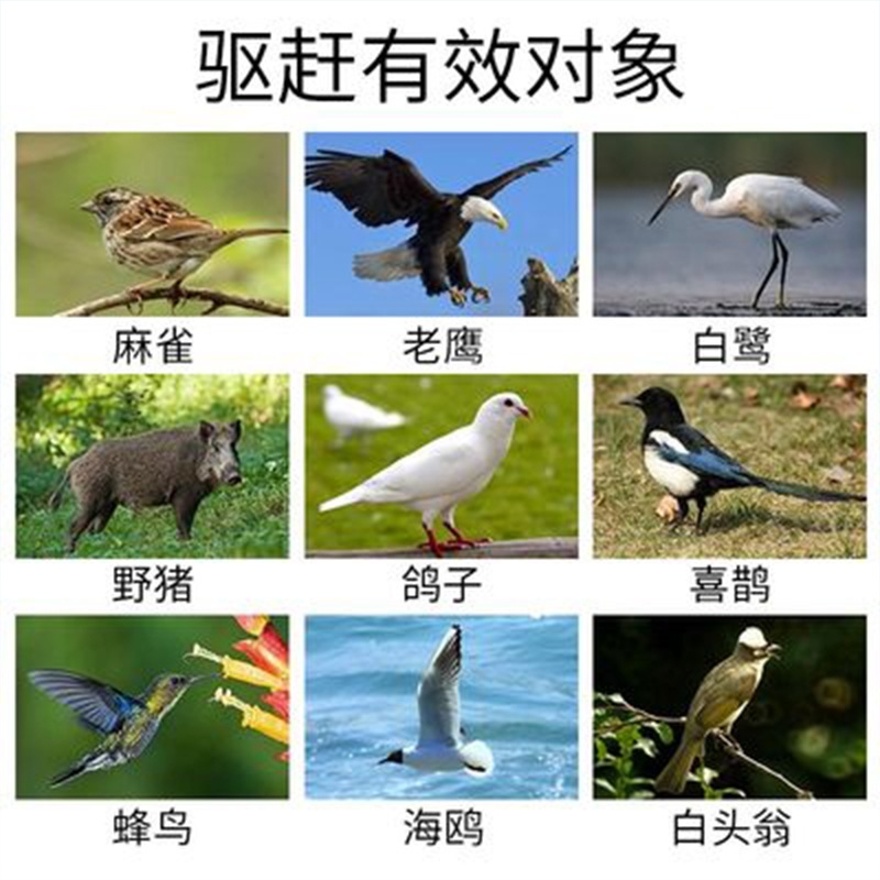 두더지퇴치기 새 방서기 퇴치기 들개 노루 - 상세 이미지 4