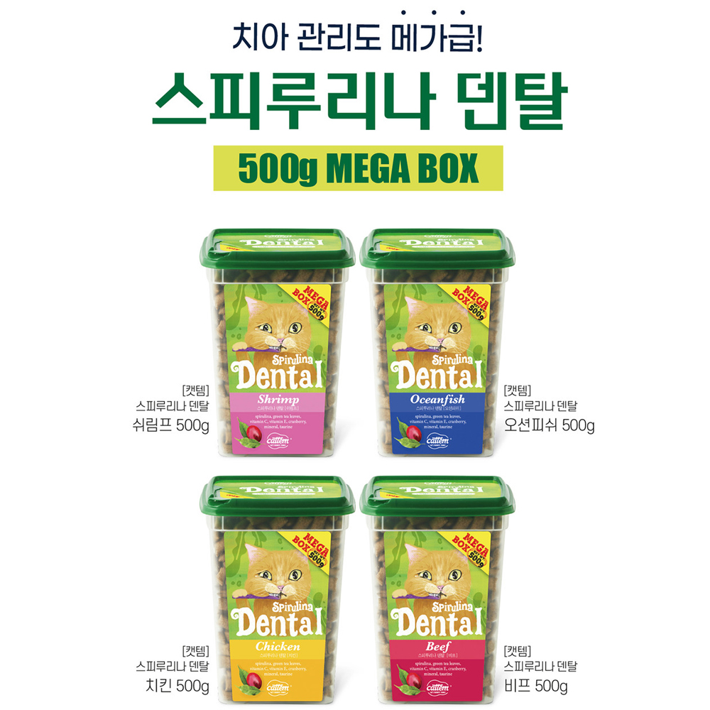 캣템 시크릿 크런치 고양이 스낵 과자 이삘과자 치석제거 치킨, 420g, 1개 이미지 2