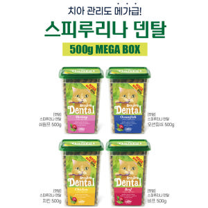 캣템 시크릿 크런치 고양이 스낵 과자 이삘과자 치석제거 치킨, 420g,... 솔직 후기 | 실제 사용자 리뷰 총정리 - 상품 이미지 2