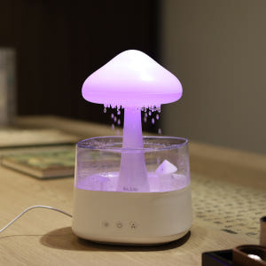 아오라 빗소리 가습기 비구름 무드등 물멍 버섯 취침등 수면등 사무실 미니... 개봉기 | 실사용 후기 - 상품 이미지 1