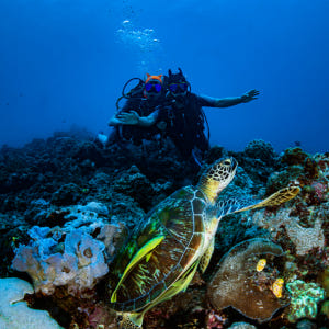 [보라카이 자유여행] 보라카이 스킨스쿠버 체험다이빙 액티비티 솔직 후기 | 실사용자 리뷰 분석 - 상품 이미지 2
