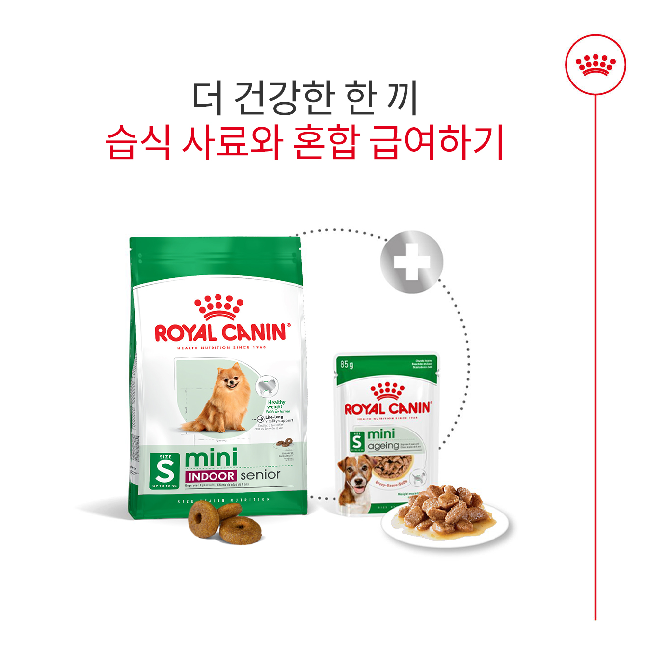 [유통기한 2026.07.23] 로얄캐닌 독 미니 인도어 시니어, 500g, 1개 이미지 7