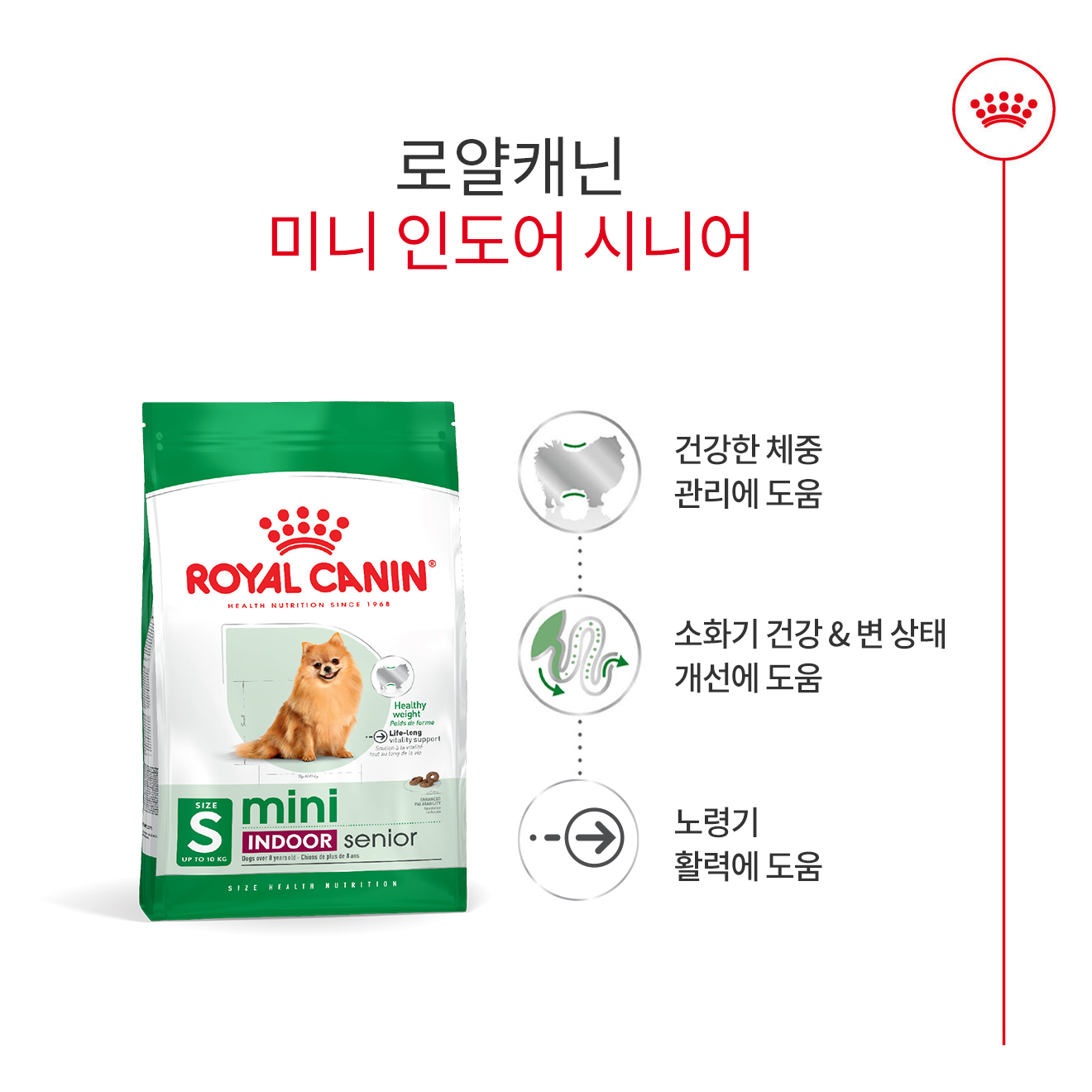 [유통기한 2026.07.23] 로얄캐닌 독 미니 인도어 시니어, 500g, 1개 - 상세 이미지 2
