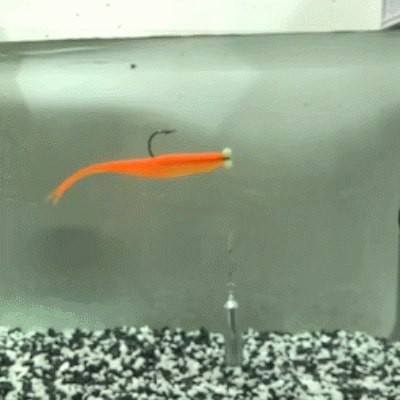 캣츠크로우 모비딕쉐드 광어 다운샷웜 광따웜 우럭 배스웜 5인치 오렌지투톤, 12.7cm(5인치) - 상세 이미지 5