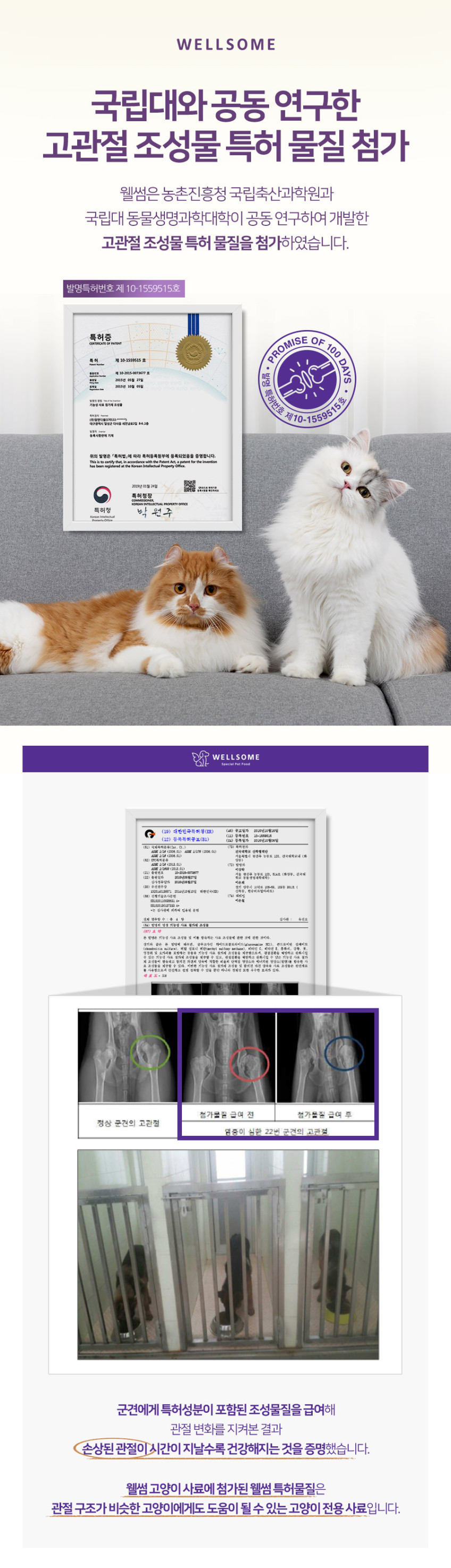 웰썸 고양이 사료 관절건강, 1.2kg, 6개 판매처 상세 정보 이미지 4