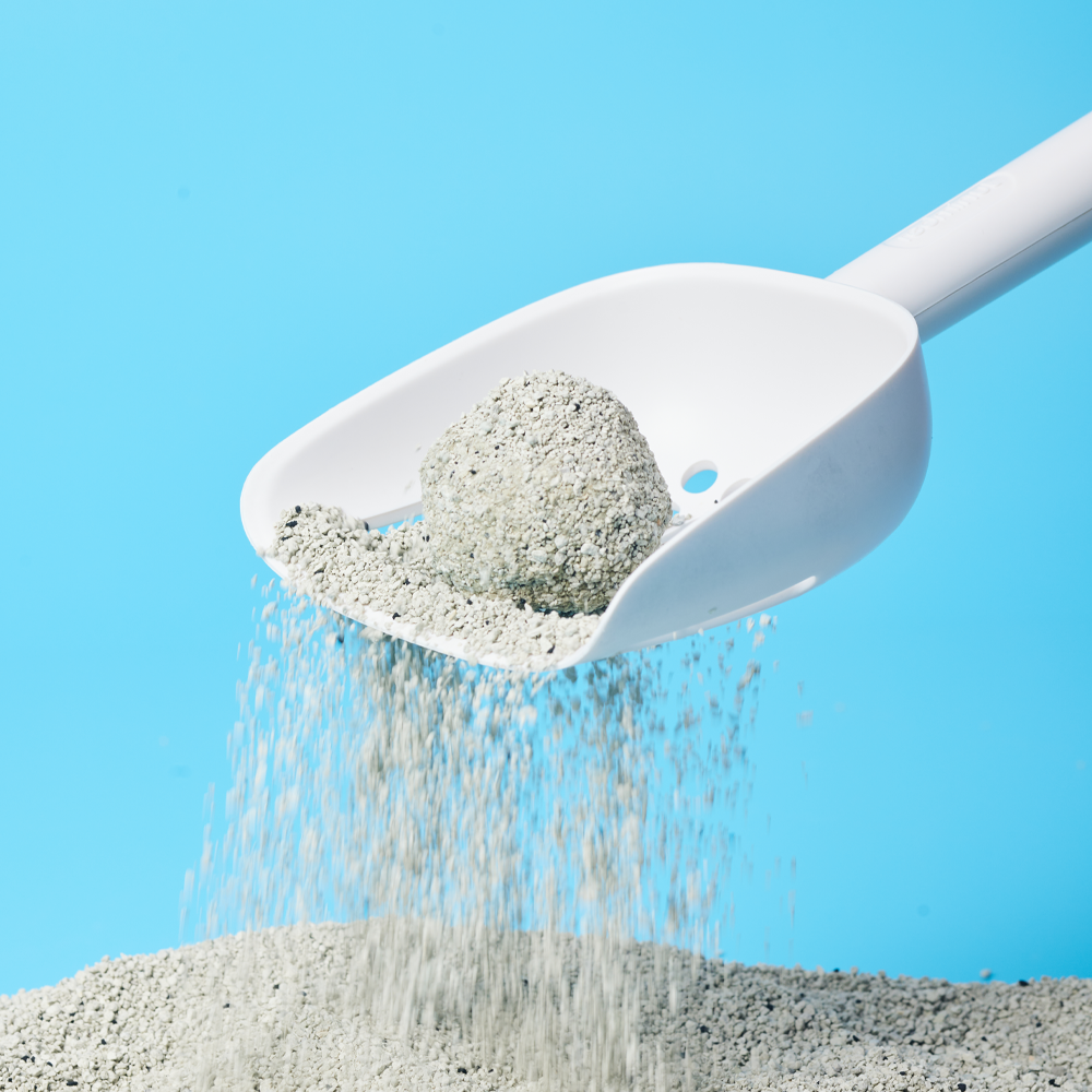 3651 365샌드 캐나다 벤토나이트 고양이 모래 7kg X 2개(1박스)