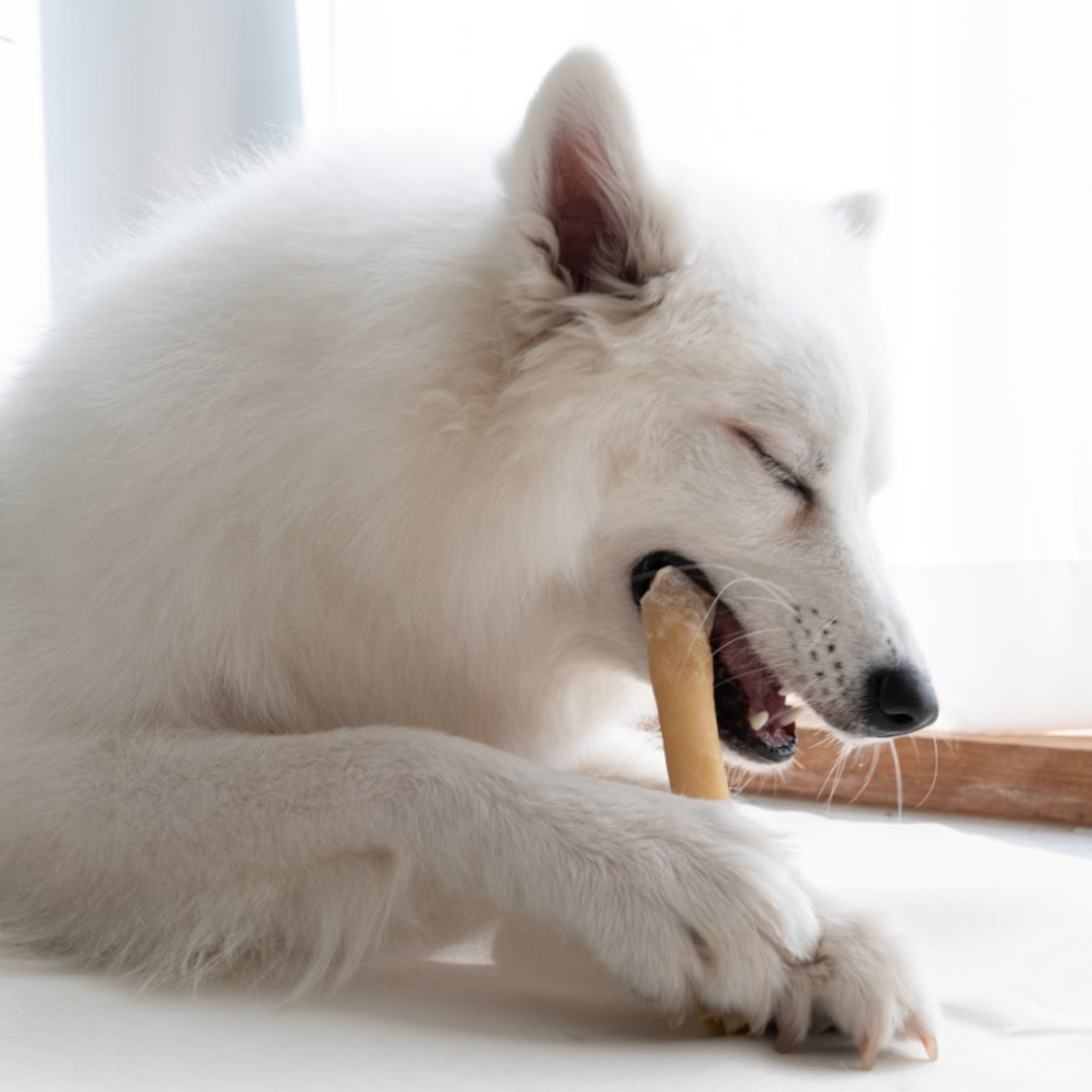 츄잇 한우껌 90g 플레인 산양유 강아지 오래먹는 껌 수제 간식 소가죽 소힘줄 대형견 이미지 4