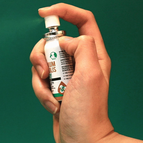 엔젯오리진 뉴질랜드 프로폴리스 액상 스프레이 15ml 3개입 프라그 구취 입냄새 입마름 - 상세 이미지 4