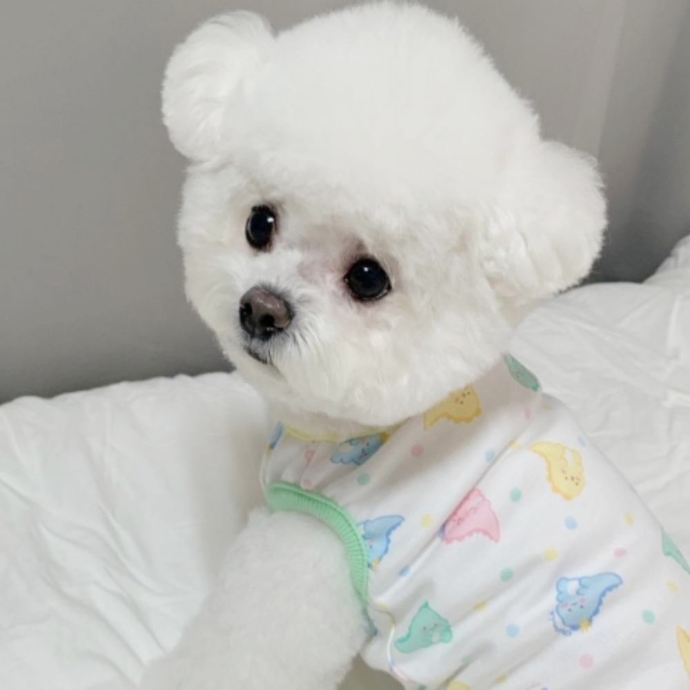 강아지 순면 유기농 오가닉 민소매 나시티 반려견 사계절옷 - 상품 이미지